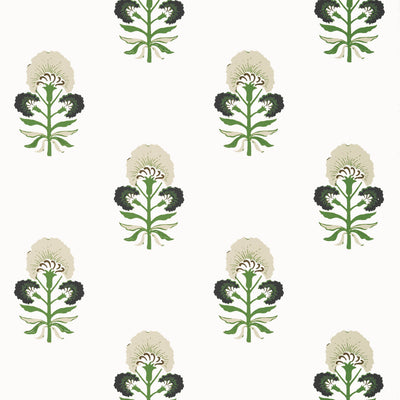 TYBEE BUD - Black and Green