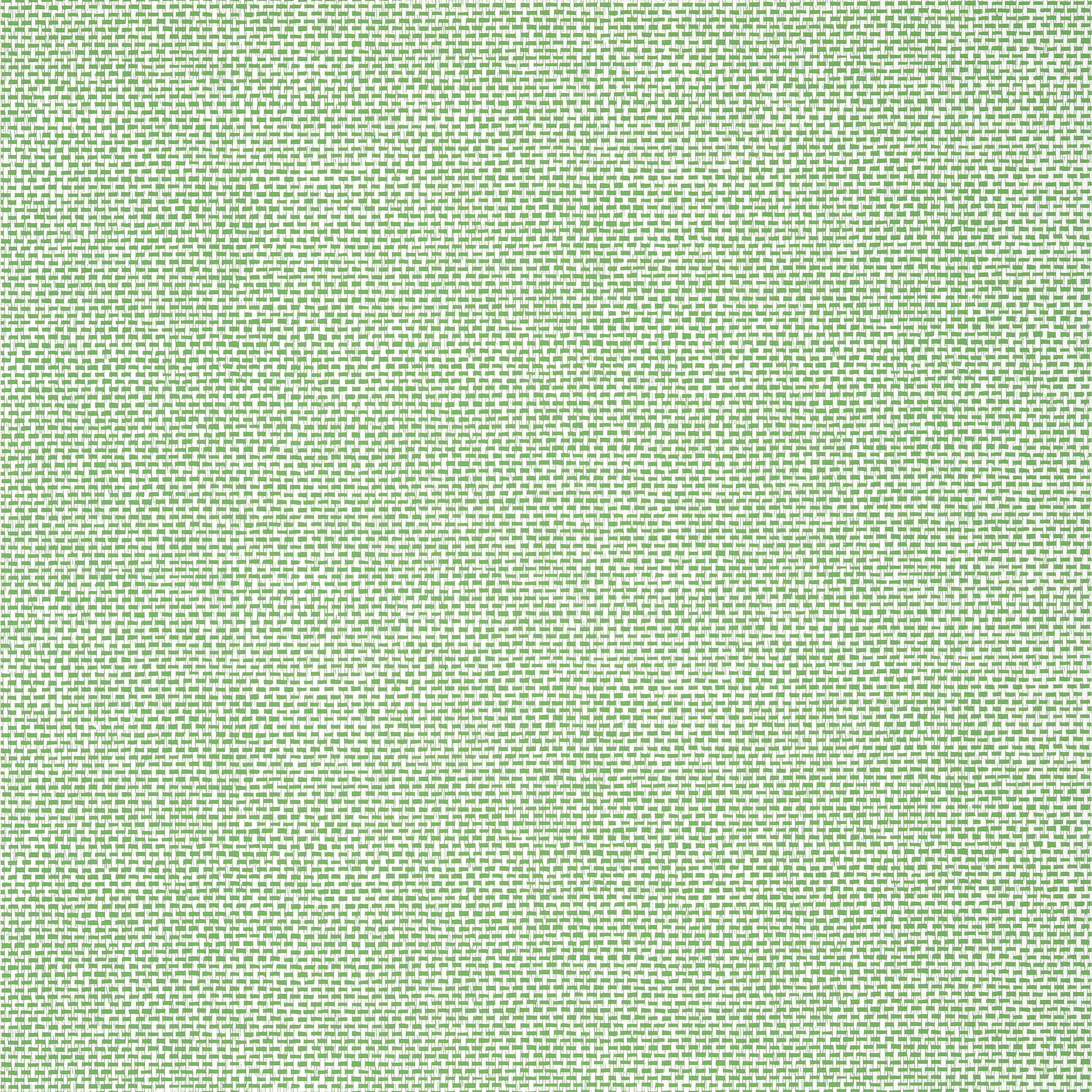 PALAWAN - Green