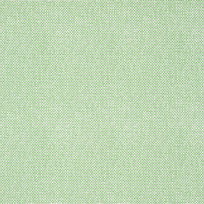 PALAWAN - Green
