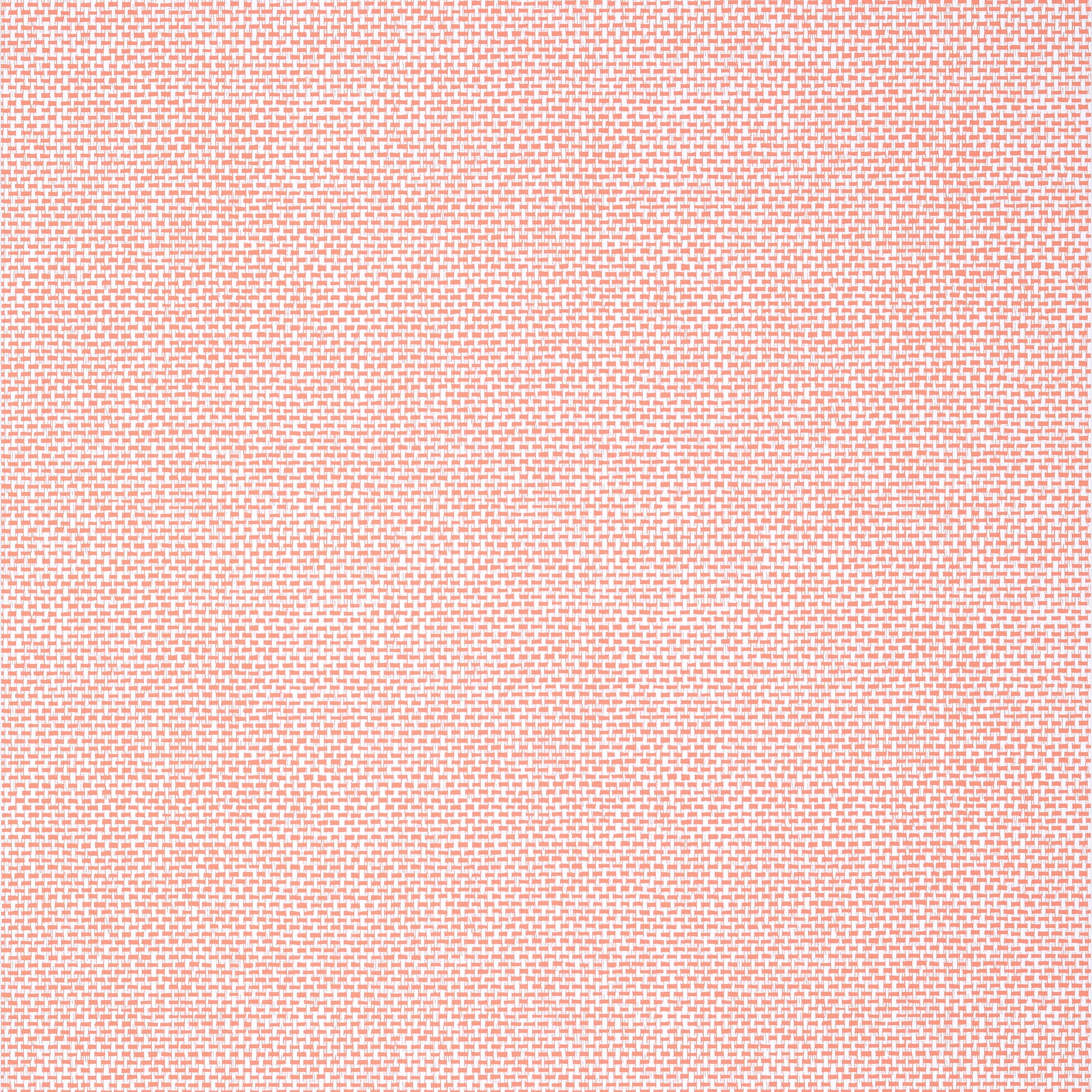 PALAWAN - Coral
