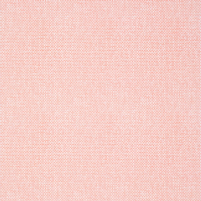 PALAWAN - Coral