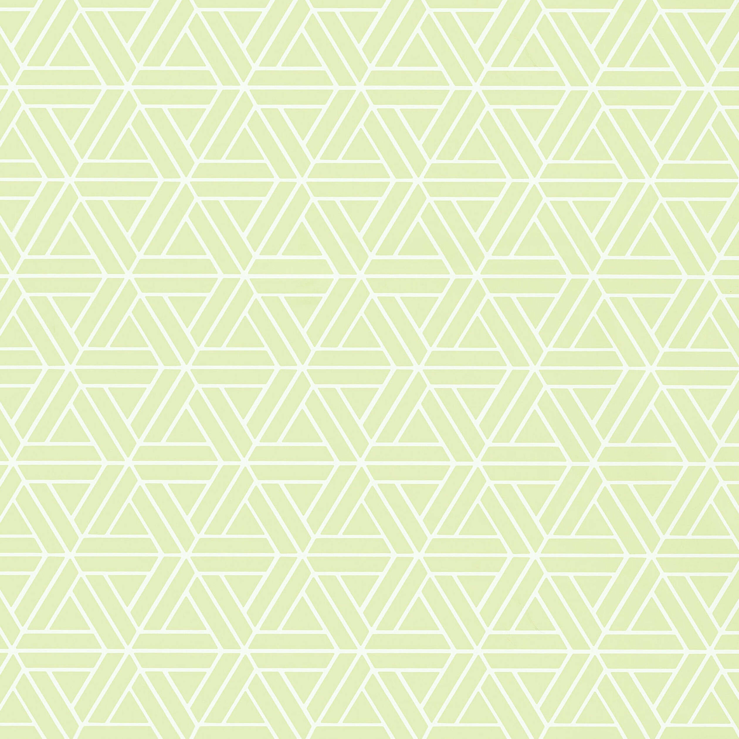 MEDINA - Green