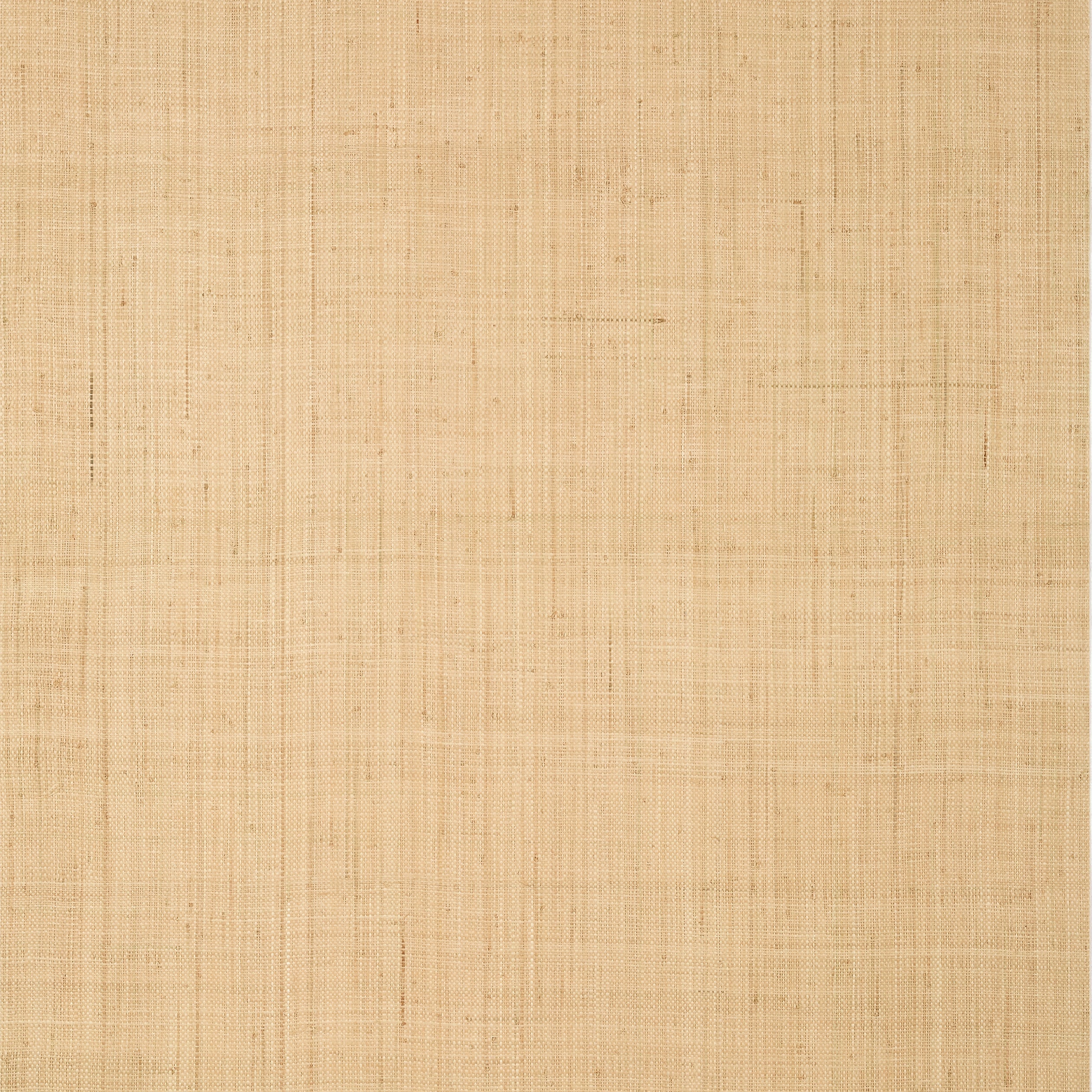 BETHANY RAFFIA - Natural