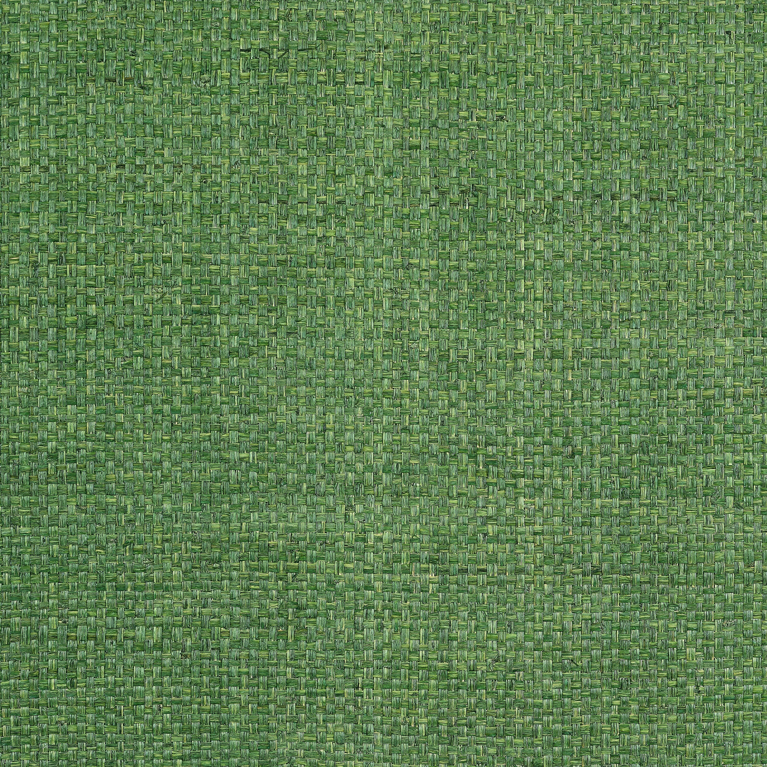 LAUDERDALE - Green