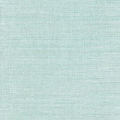 SHANG EXTRA FINE SISAL - Seaglass