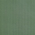 COASTLINE - Spruce