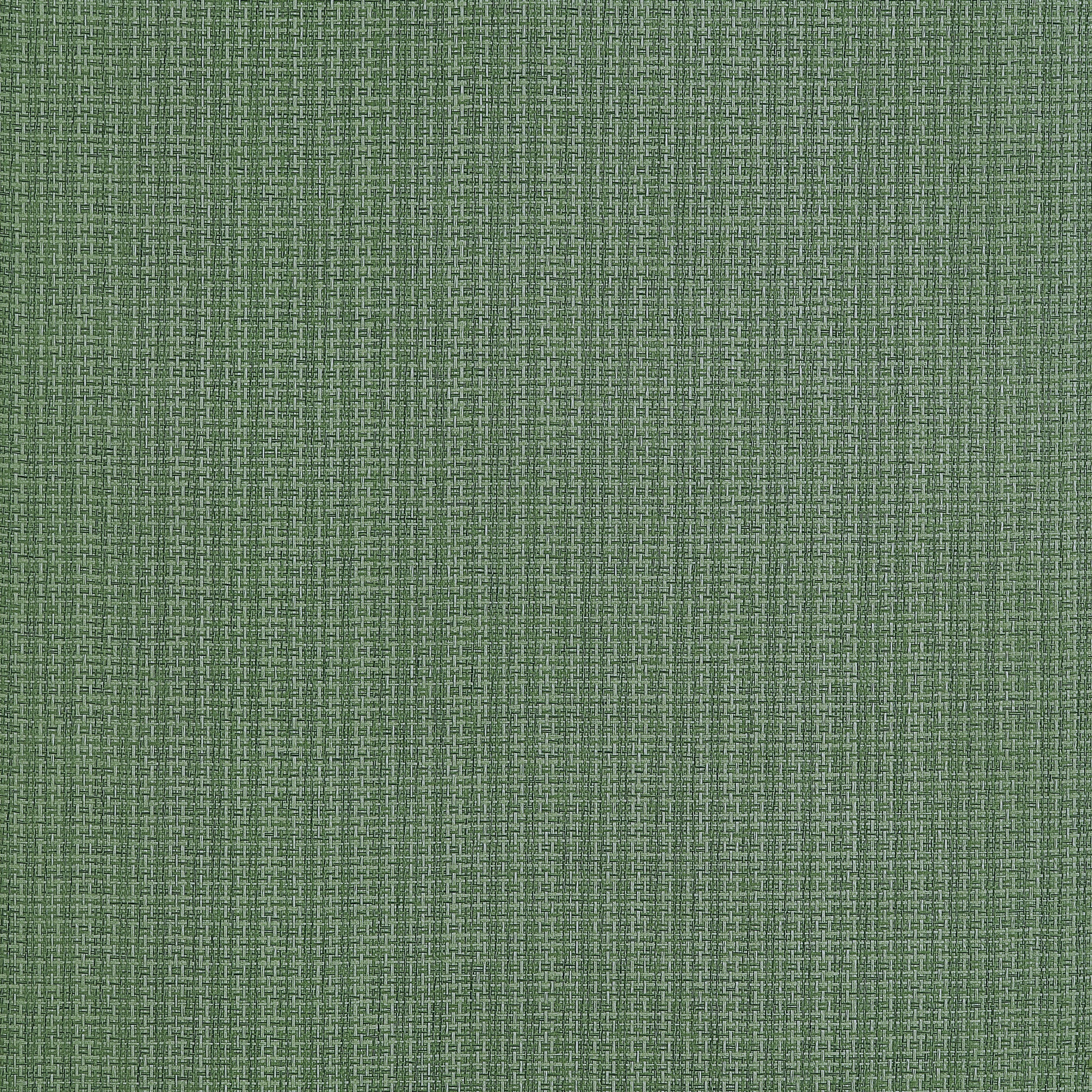 COASTLINE - Spruce