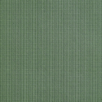 COASTLINE - Spruce