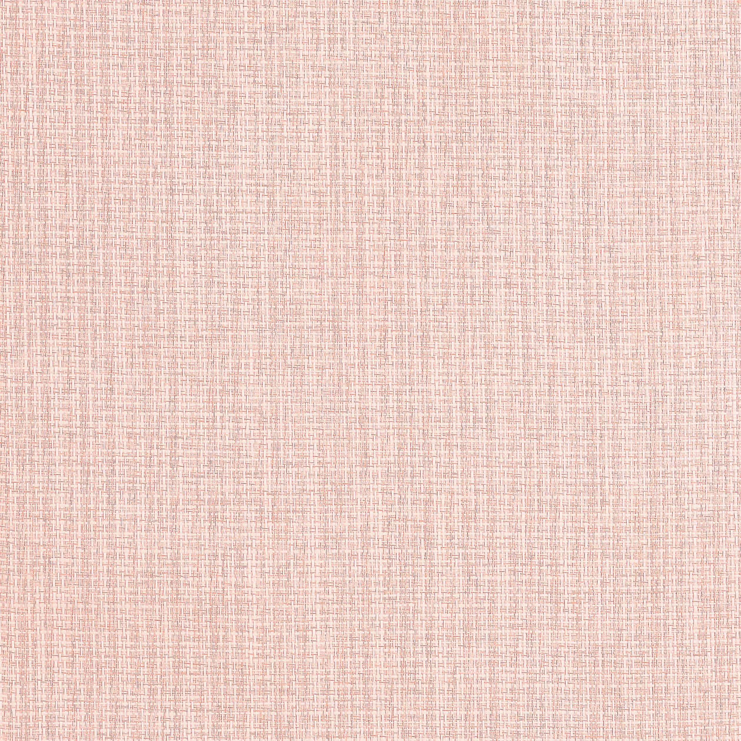 COASTLINE - Blush