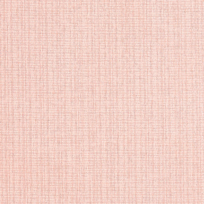 COASTLINE - Blush