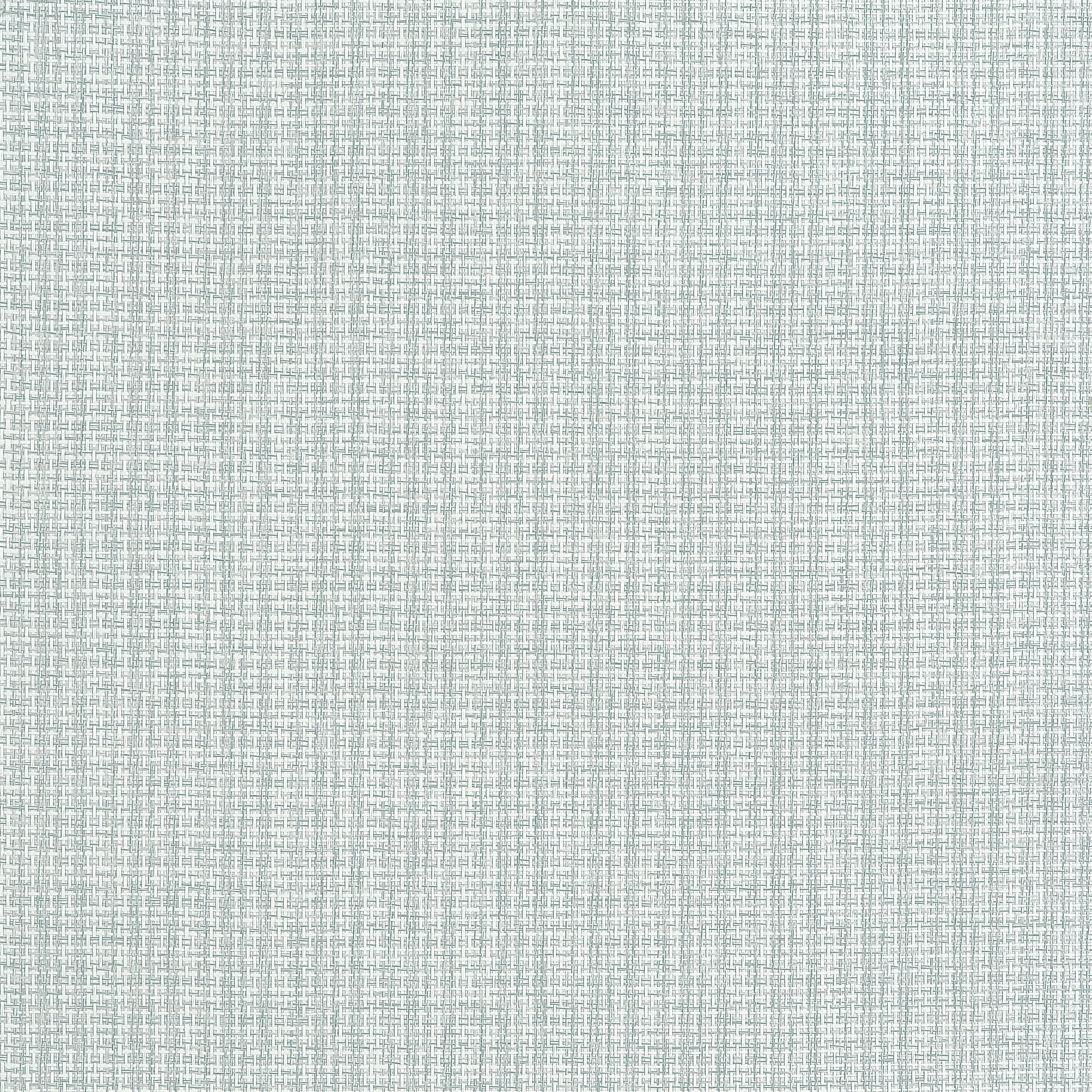 COASTLINE - Seamist