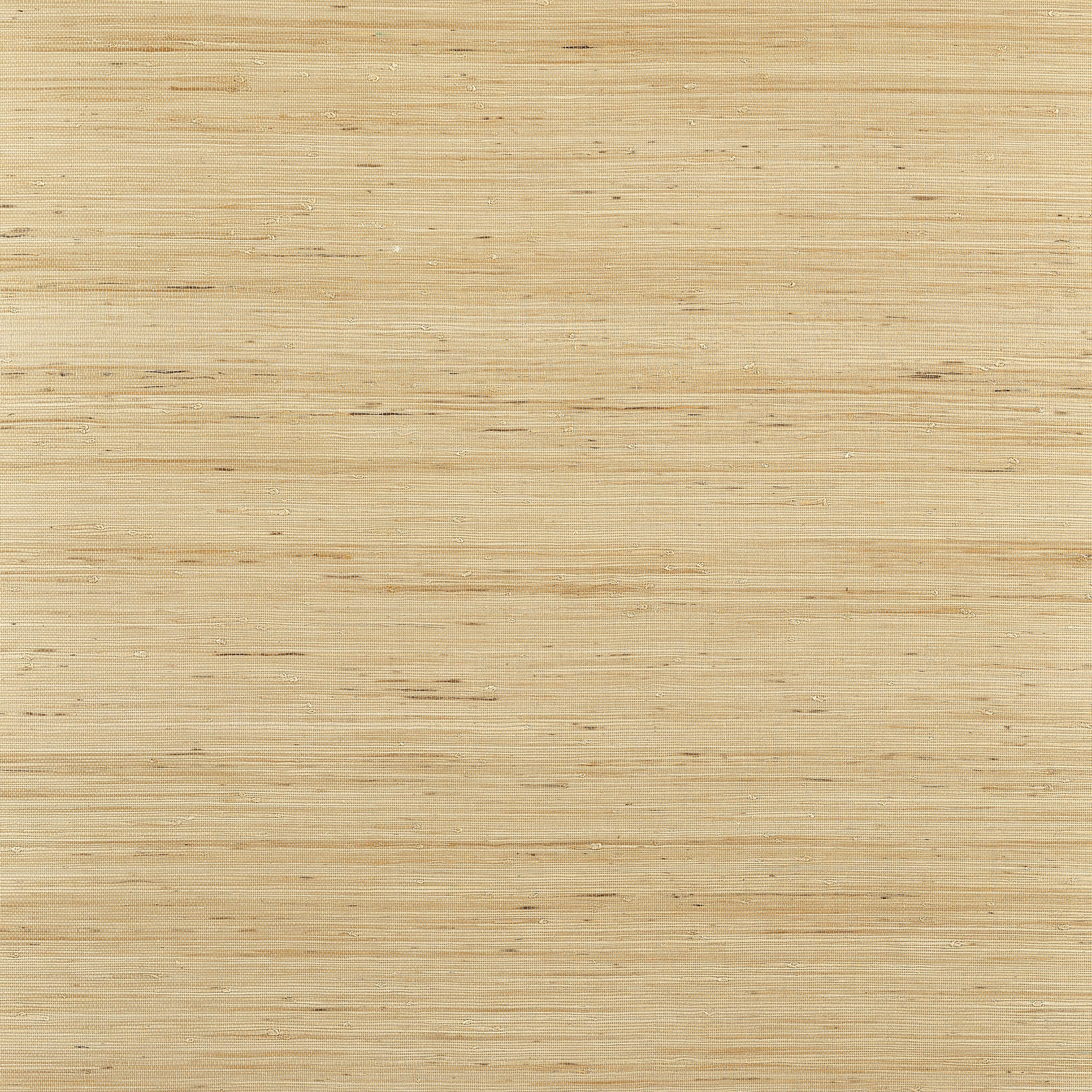 SYDNEY - Light Taupe