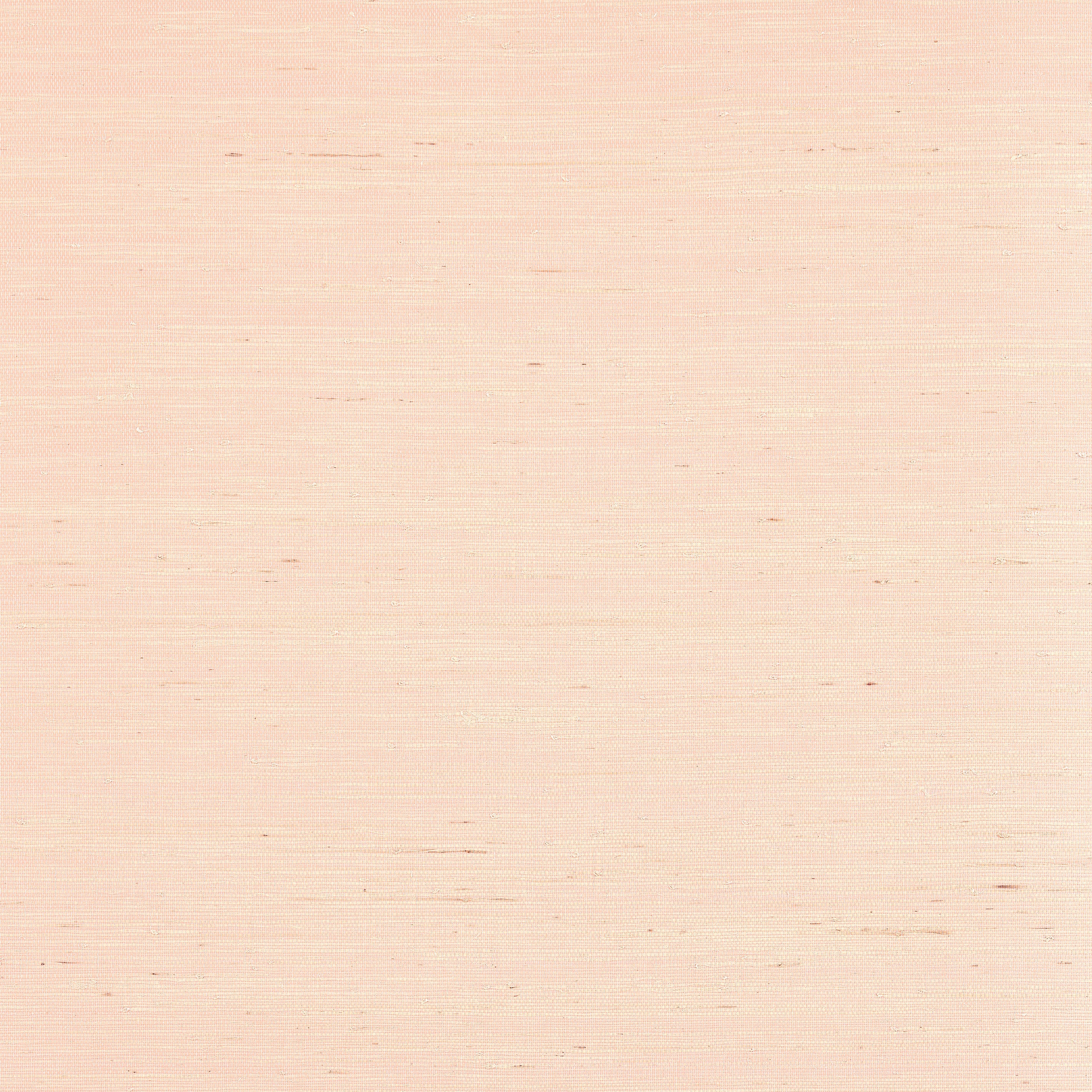 SYDNEY - Seashell