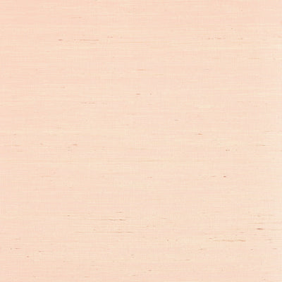 SYDNEY - Seashell