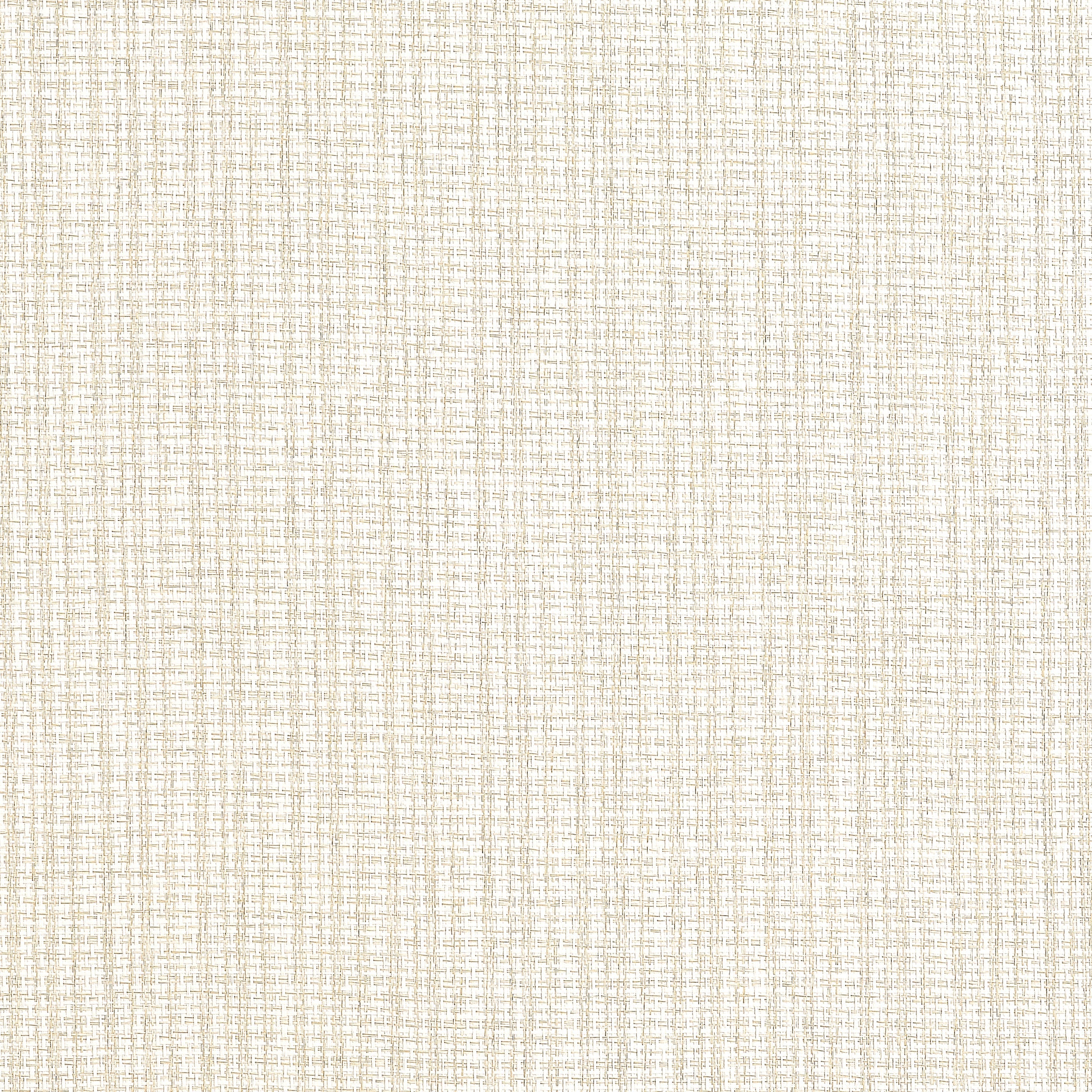 COASTLINE - Cream