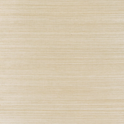 WINDWARD SISAL - Tan