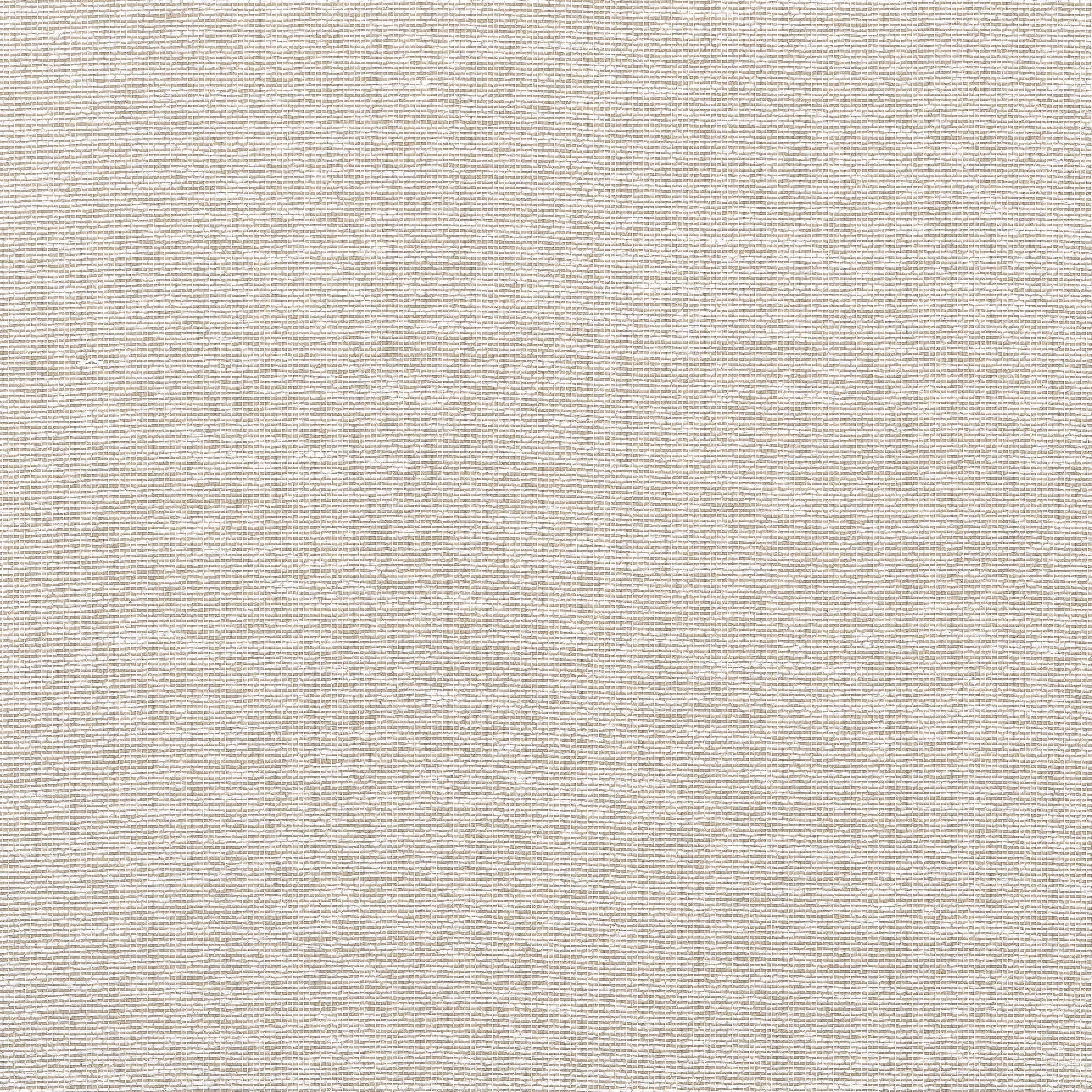 EDWARD'S PAPER - Putty