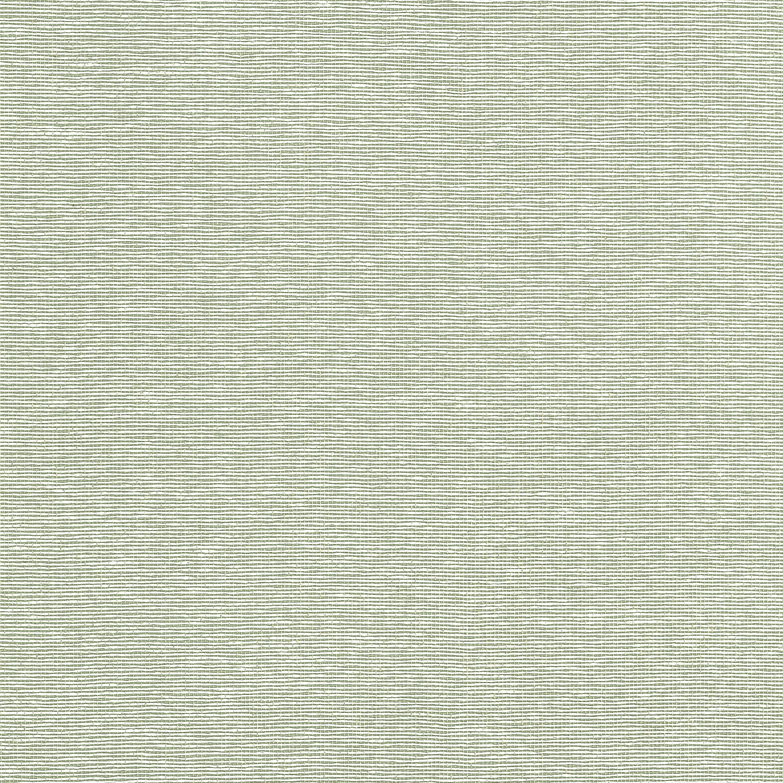 EDWARD'S PAPER - Green