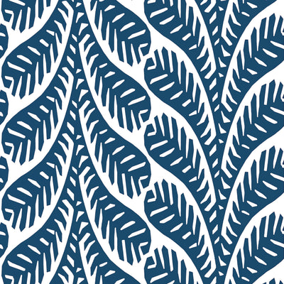 GINGER - Navy