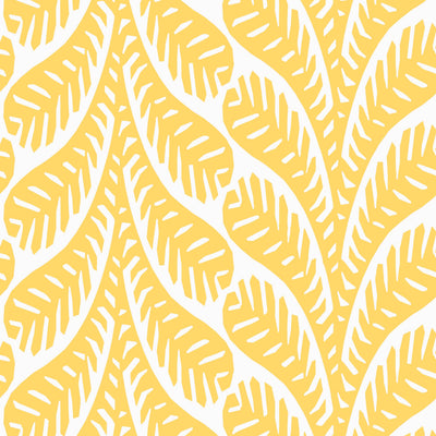 GINGER - Yellow