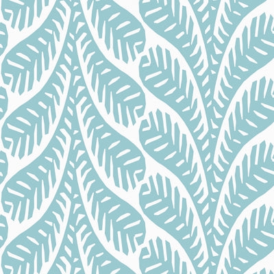 GINGER - Spa Blue