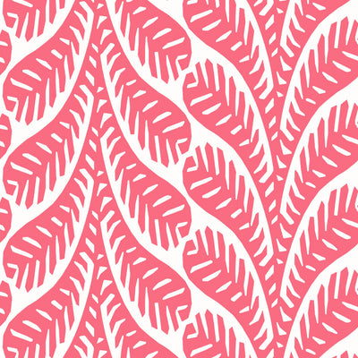 GINGER - Pink