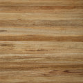 LA PALMA - Bark