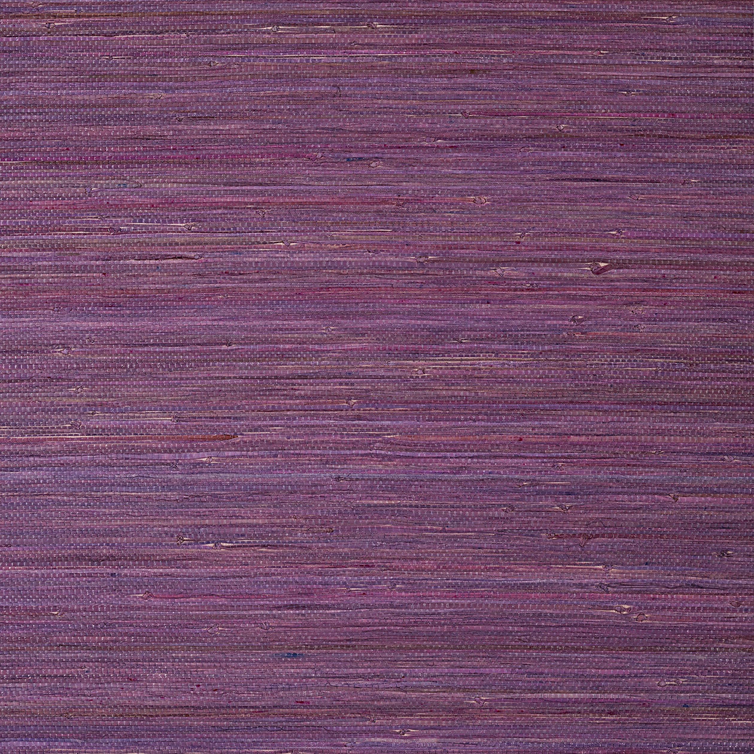 RAFFIA PALM - Plum
