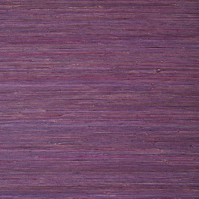 RAFFIA PALM - Plum