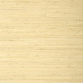 RAFFIA PALM - Natural