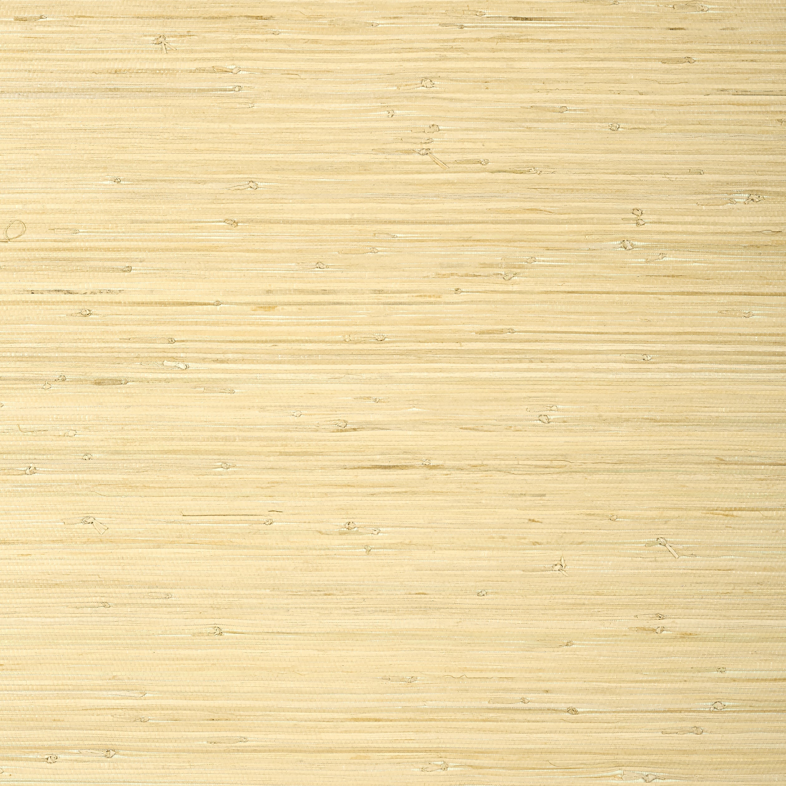 RAFFIA PALM - Natural