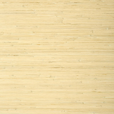 RAFFIA PALM - Natural