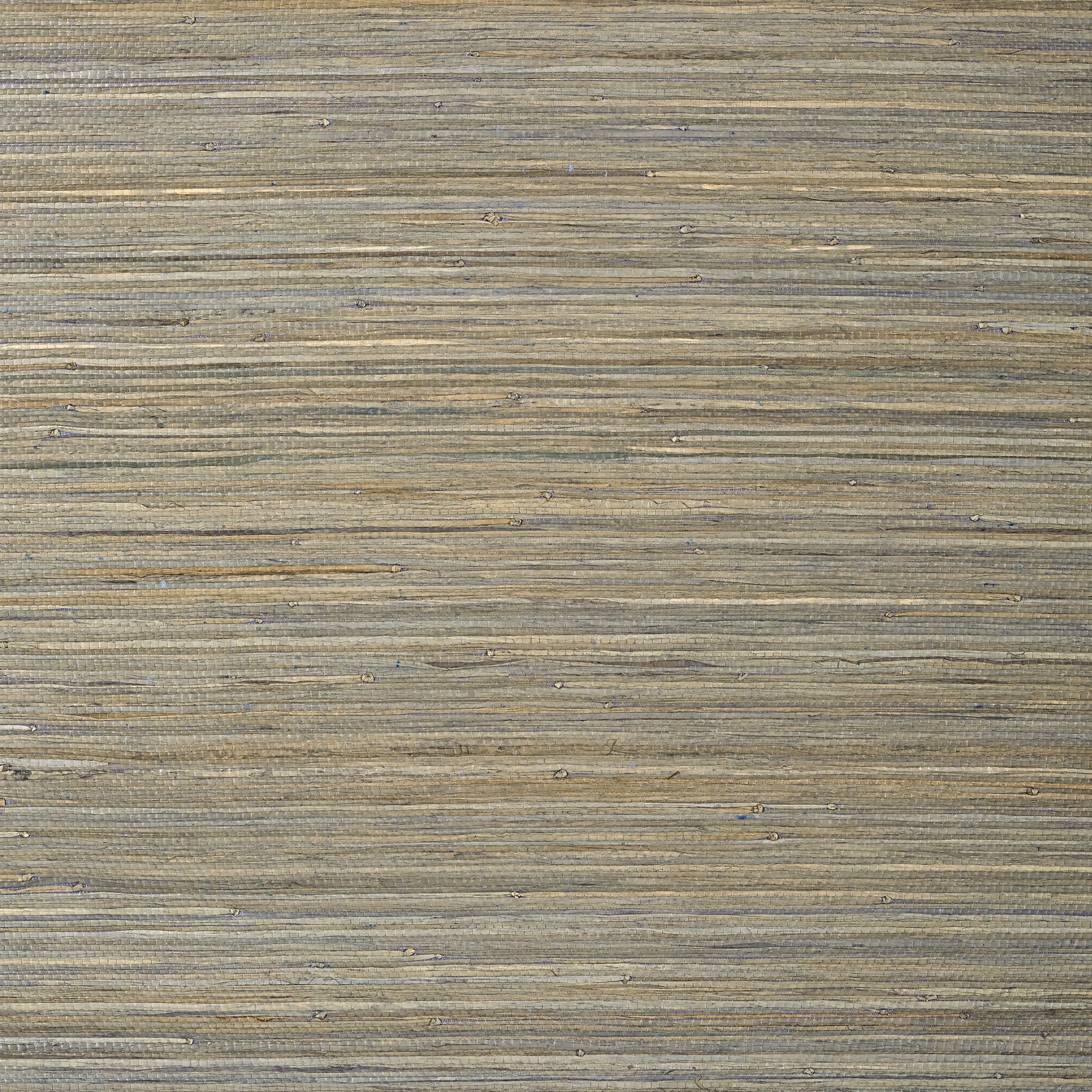 RAFFIA PALM - Grey