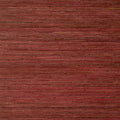 RAFFIA PALM - Sun Baked