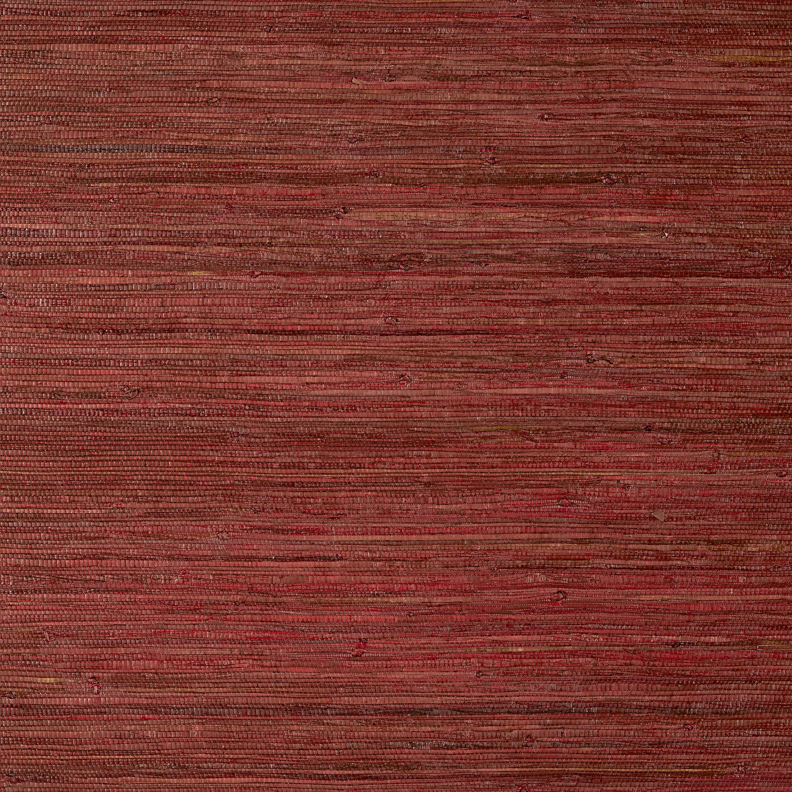 RAFFIA PALM - Sun Baked