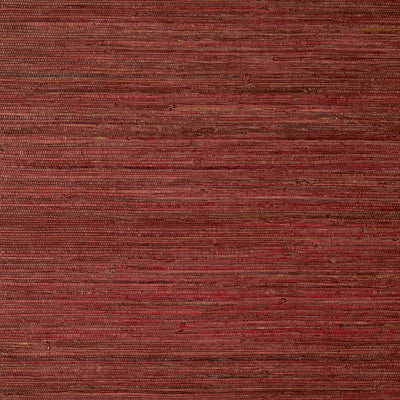 RAFFIA PALM - Sun Baked