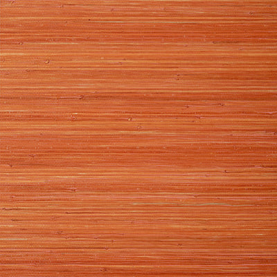 RAFFIA PALM - Orange