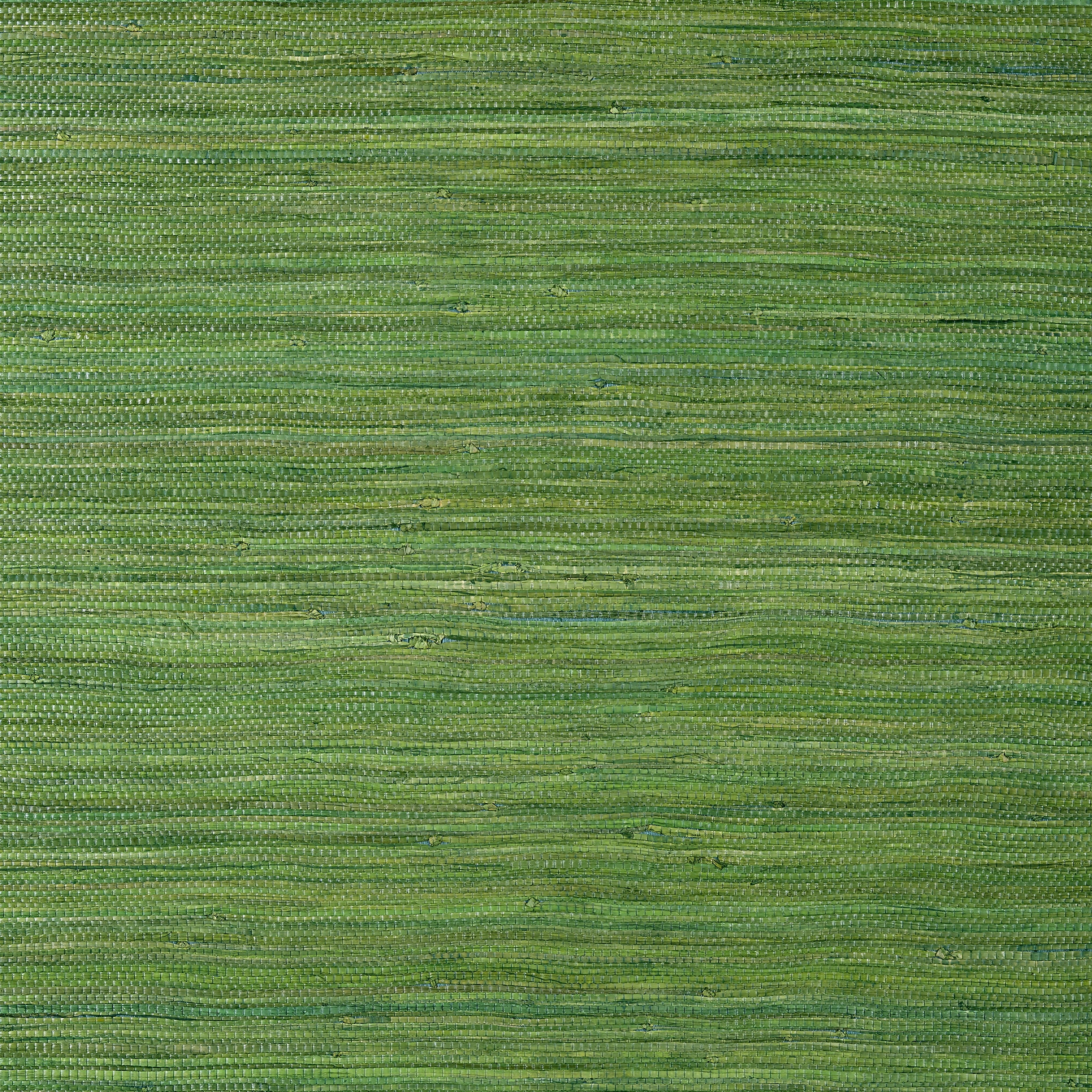 RAFFIA PALM - Emerald Green