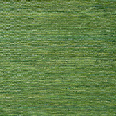 RAFFIA PALM - Emerald Green