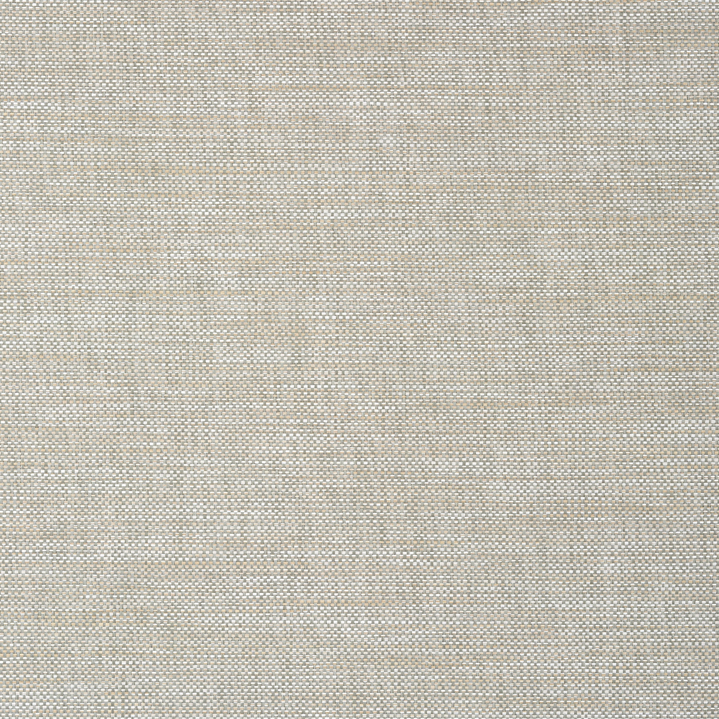 CALISTOGA - Sage
