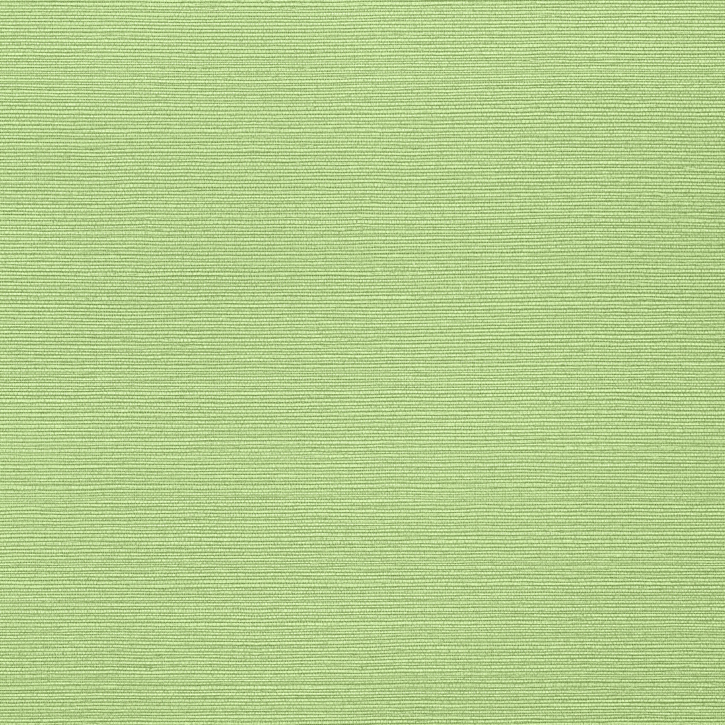 TALUK SISAL - Spring