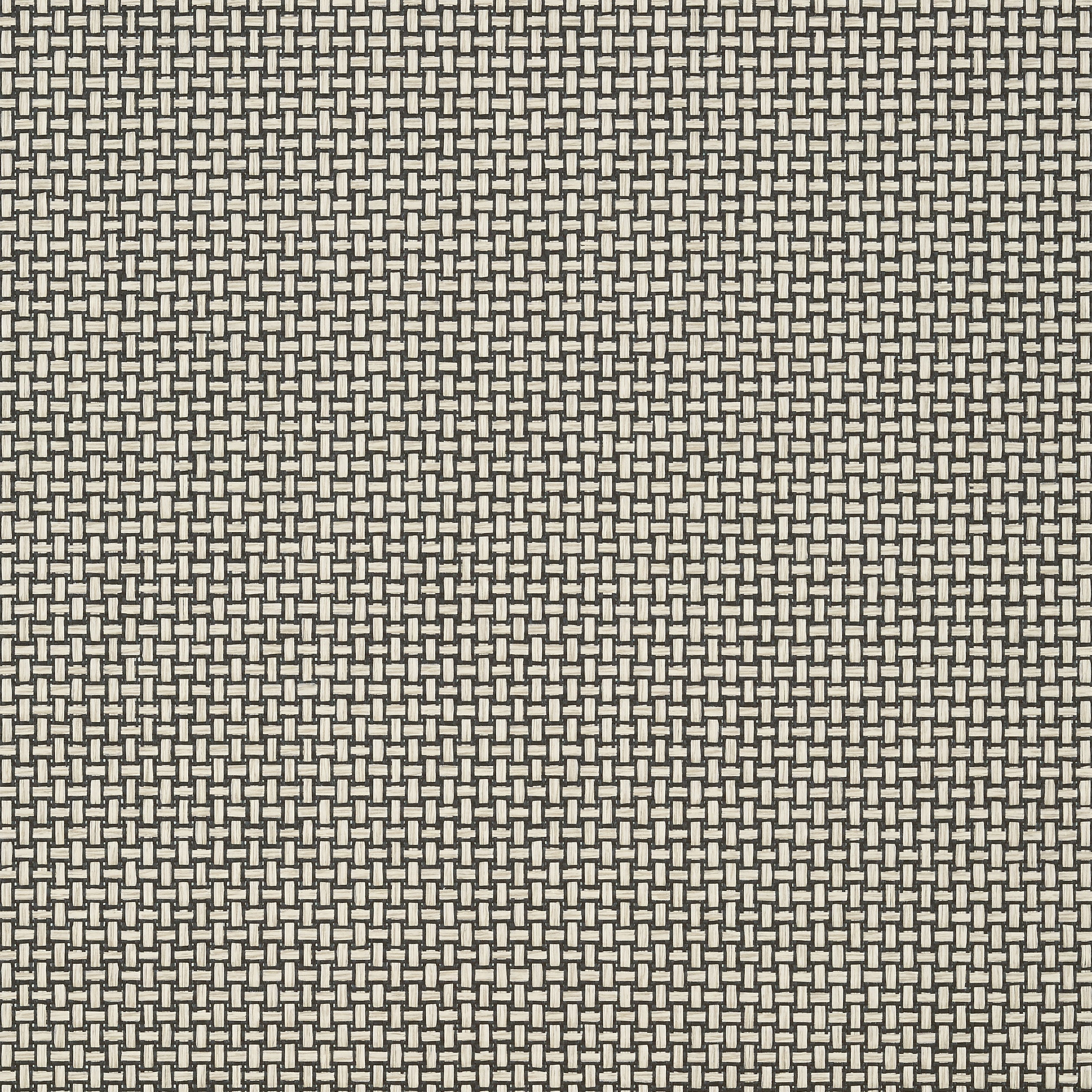 BAKER WEAVE - Black on Linen