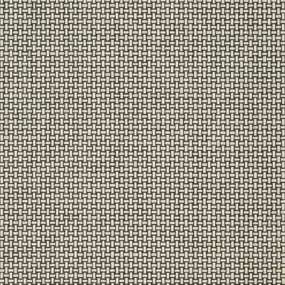 BAKER WEAVE - Black on Linen
