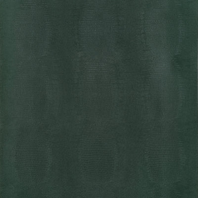 KISSIMMEE - Deep Green