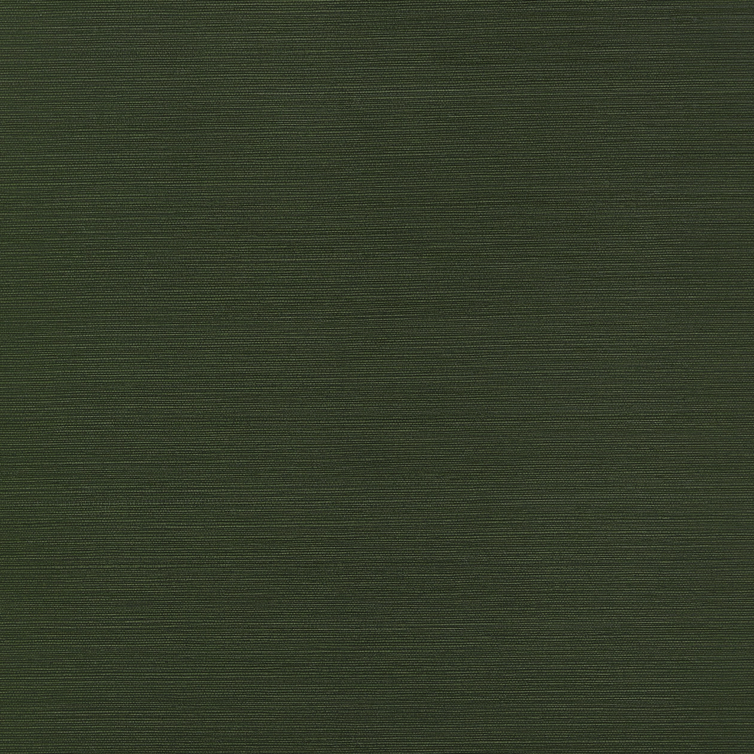 TALUK SISAL - Olive