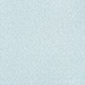 SADDLE WEAVE - Powder Blue