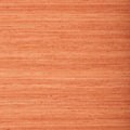 WILD SILK - Coral