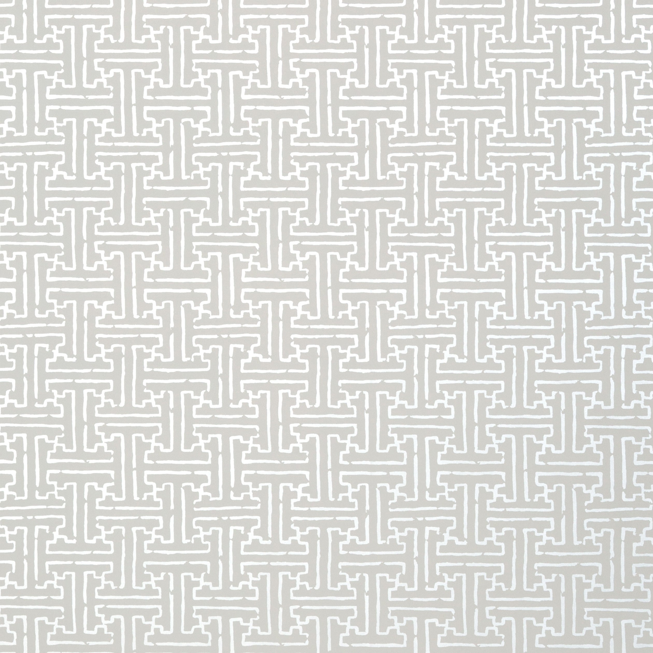 TAZA - Metallic Silver on Grey