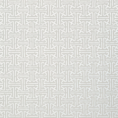 TAZA - Metallic Silver on Grey