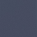 MAZE - Navy